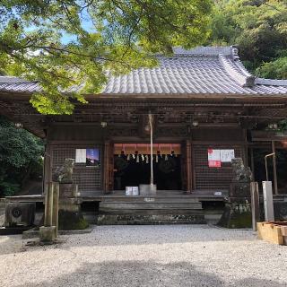 素盞鳴神社の参拝記録(ワヲンさん)