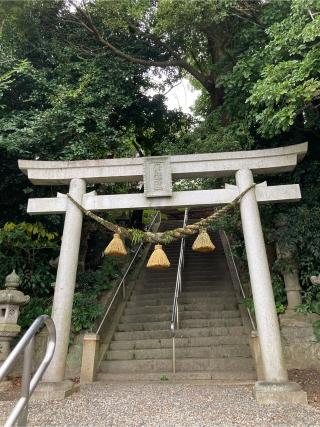 素盞鳴神社の参拝記録(ツバサさん)