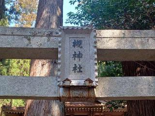 槻神社の参拝記録(銀玉鉄砲さん)