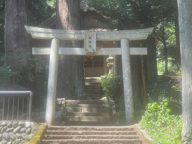 槻神社の参拝記録3