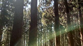 槻神社の参拝記録(ごま男さん)