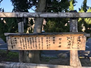 川上神社の参拝記録(じゃすてぃさん)
