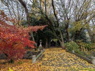 御園神明社の参拝記録(恭子さん)