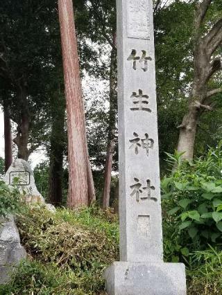 竹生神社の参拝記録(銀玉鉄砲さん)