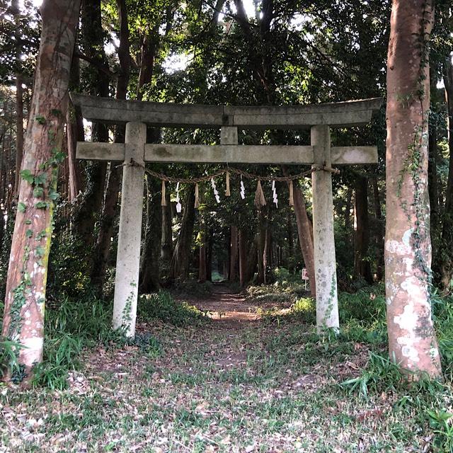 須波神社の参拝記録(ワヲンさん)