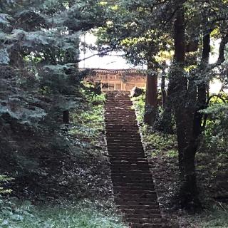 須波神社の参拝記録(ワヲンさん)