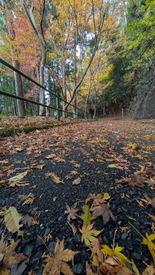 鳳来山東照宮の参拝記録(なりなりさん)