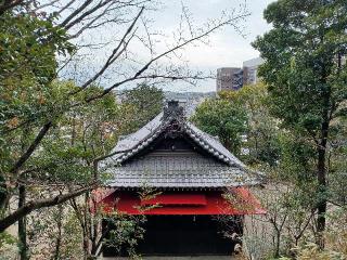 金神社の参拝記録(銀玉鉄砲さん)