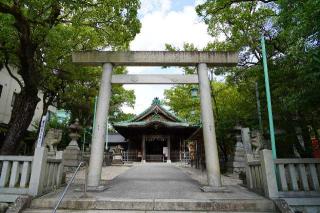 深川神社の参拝記録(のぶちゃんさん)