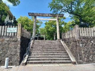 深川神社の参拝記録(銀玉鉄砲さん)