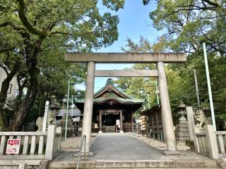 深川神社の参拝記録(じゃすてぃさん)