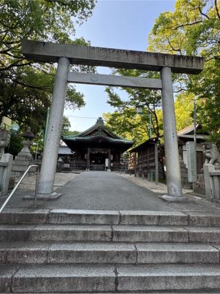 深川神社の参拝記録(こーちんさん)