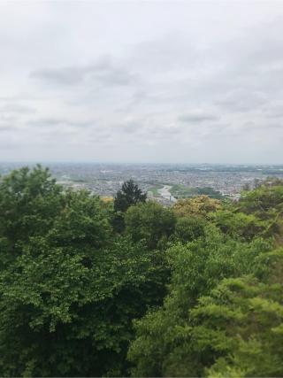 尾張戸神社の参拝記録(すーさん)