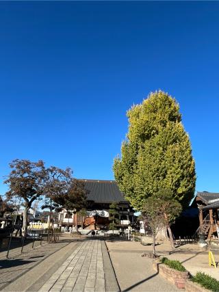 龍光寺の参拝記録(シャモさん)