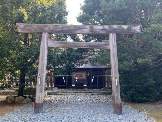 伊良湖神社の参拝記録(二代目無宿さん)