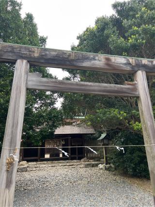 伊良湖神社の参拝記録(⛩️🐍🐢まめ🐢🐍⛩️さん)