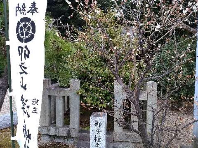 愛知県知多郡阿久比町大字卯坂字北ノ浦58 津島神社（卯之山津嶋神社）の写真8