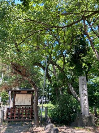 入海神社の参拝記録(恭子さん)