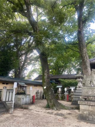 入海神社の参拝記録(yj さん)