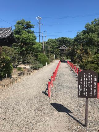 野間神社の参拝記録(T onyさん)