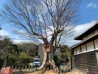 津島社（牛頭天王の社）の参拝記録(くーさん)