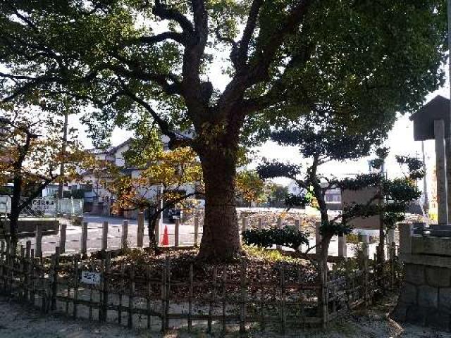 愛知県知多市原1-2-18 神明社（亥新田神明社）の写真13
