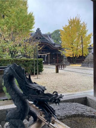 八幡神社（尾張八幡神社）の参拝記録(恭子さん)