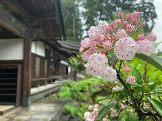 船尾山 柳沢寺の参拝記録(忍さん)