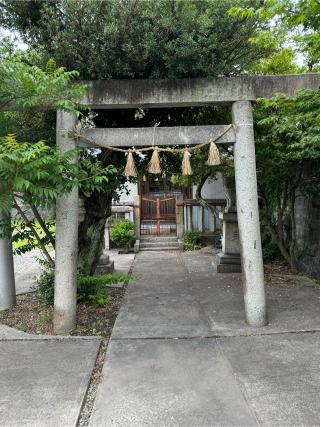 白山社の参拝記録(こーちんさん)