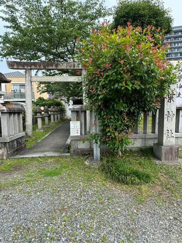 秋葉神社の参拝記録7