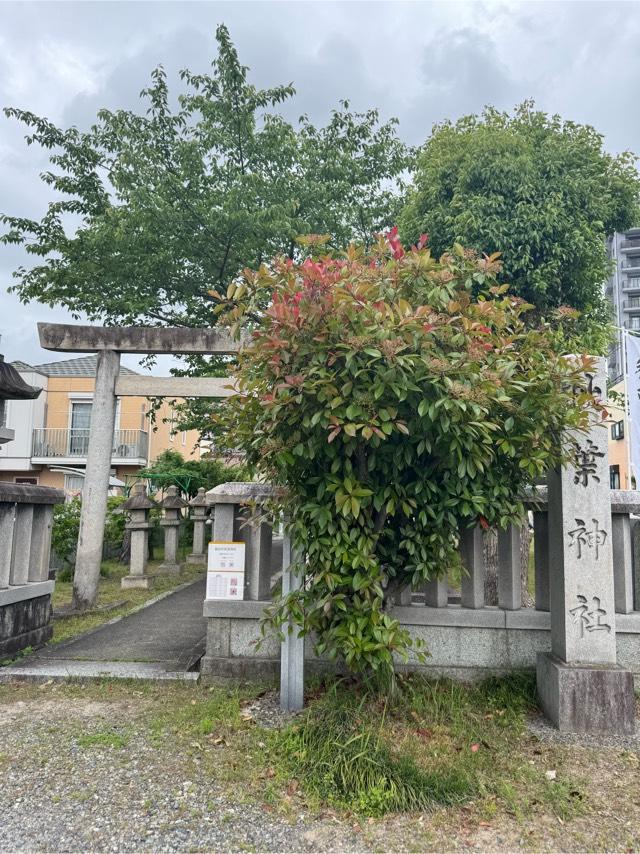 秋葉神社の参拝記録8