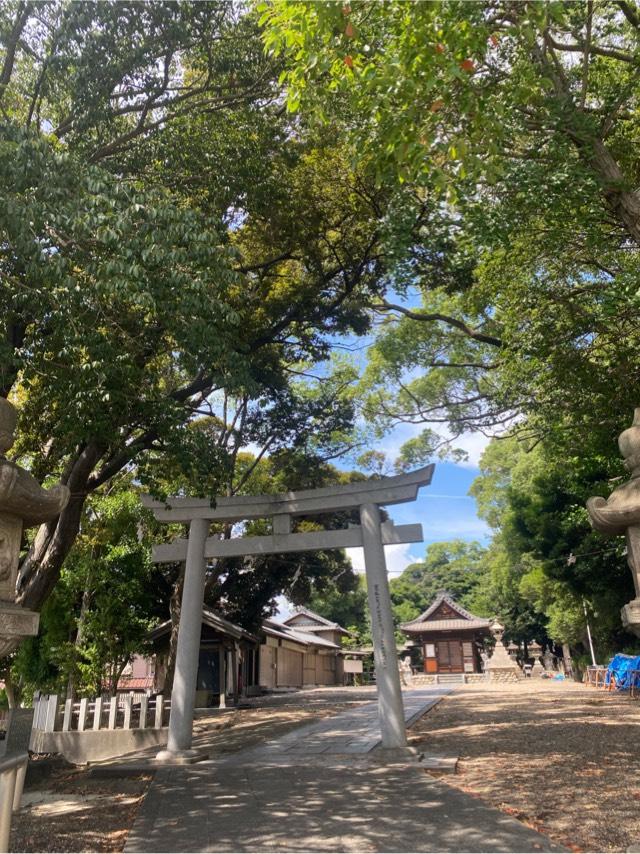 八幡社(渡内八幡社)の参拝記録5