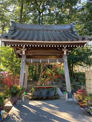 熊野神社（本郷熊野神社）の参拝記録(恭子さん)