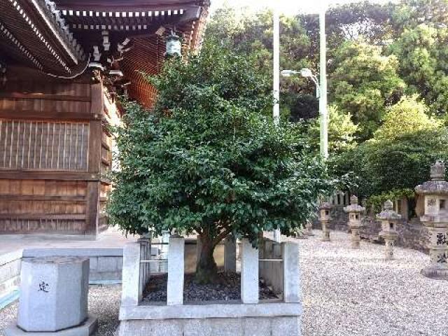 愛知県東海市加木屋宮ノ脇43 熊野神社（本郷熊野神社）の写真18