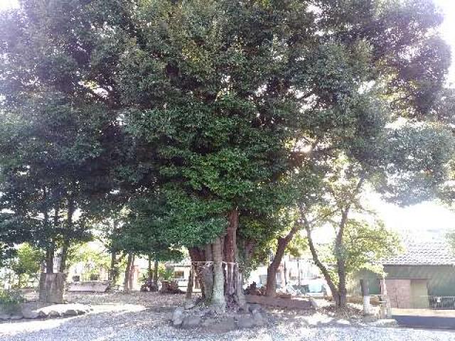 愛知県東海市加木屋宮ノ脇43 熊野神社（本郷熊野神社）の写真19