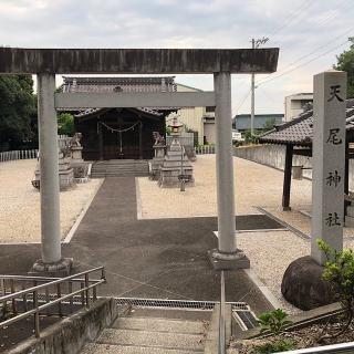 天尾神社の参拝記録(ワヲンさん)