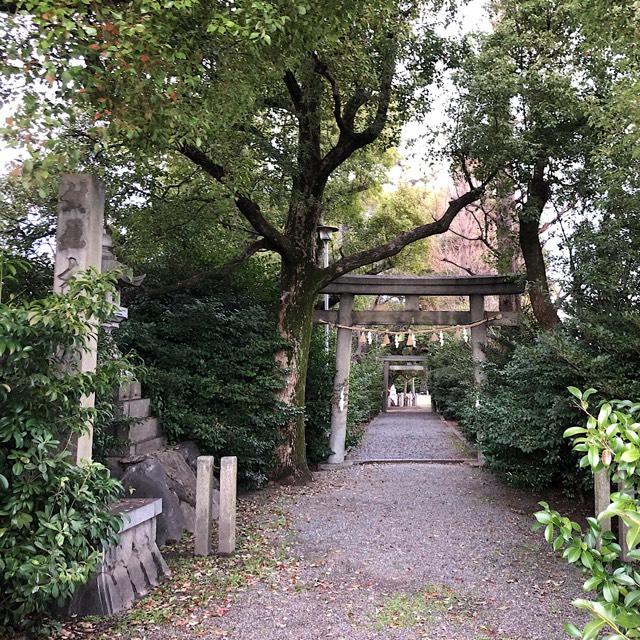 大宮神社の参拝記録8