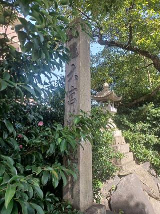 大宮神社の参拝記録(銀玉鉄砲さん)