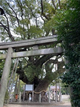 大宮神社の参拝記録(恭子さん)