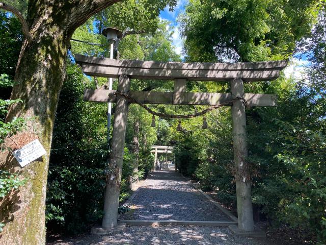 大宮神社の参拝記録10