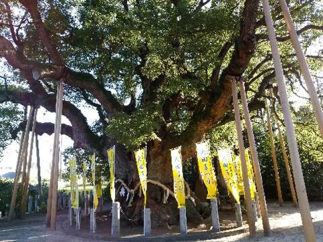 愛知県東海市大田町上濱田200 大宮神社の写真6