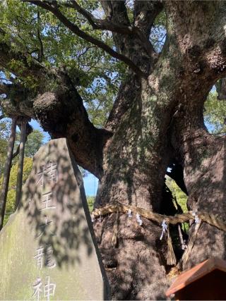 大宮神社の参拝記録(yj さん)