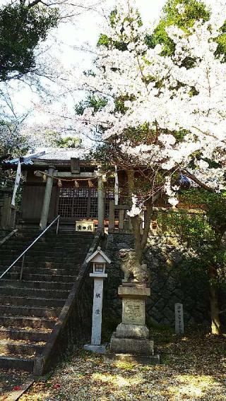 常石神社の参拝記録(かずぴよさんさん)