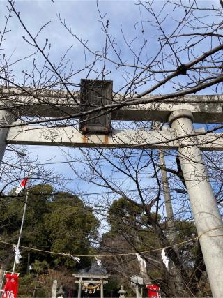 諏訪社（沓掛諏訪神社）の参拝記録(恭子さん)