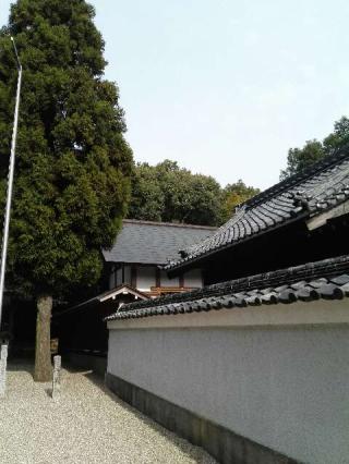 間米八幡社の参拝記録(たまりんさん)