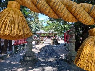 為当稲荷神社の参拝記録(銀玉鉄砲さん)