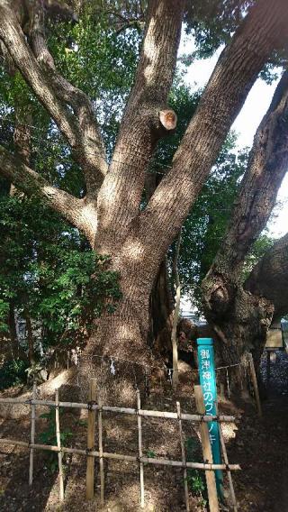 御津神社の参拝記録(HIMEKOさん)