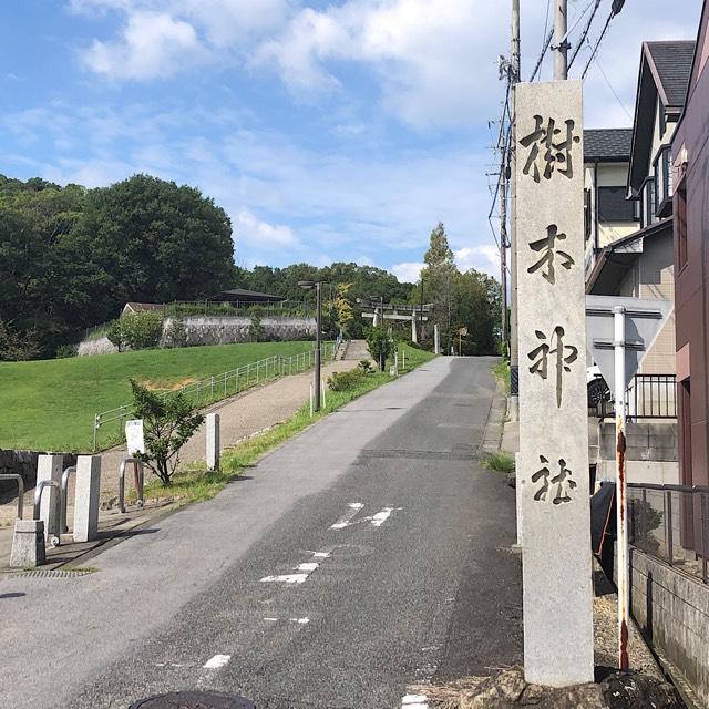 樹木神社の参拝記録3