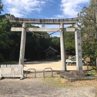 樹木神社の参拝記録(ワヲンさん)