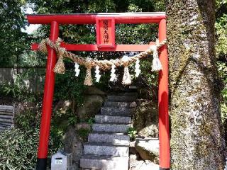樹木神社の参拝記録(新コージさん)